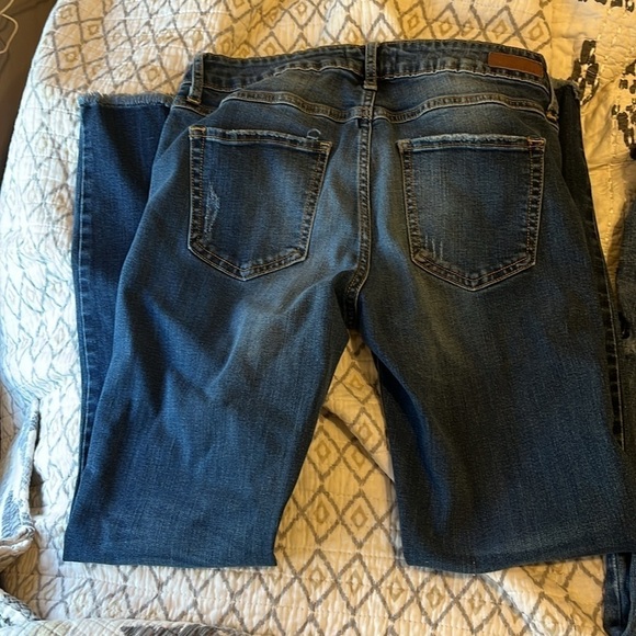 JUST USA, distressed skinny - Picture 5 of 5